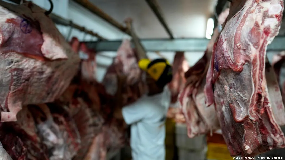Brasil pode assumir até 40% da nova cota de importação de carne bovina dos EUA